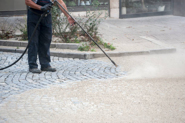 Best Driveway Pressure Washing  in Allyn, WA